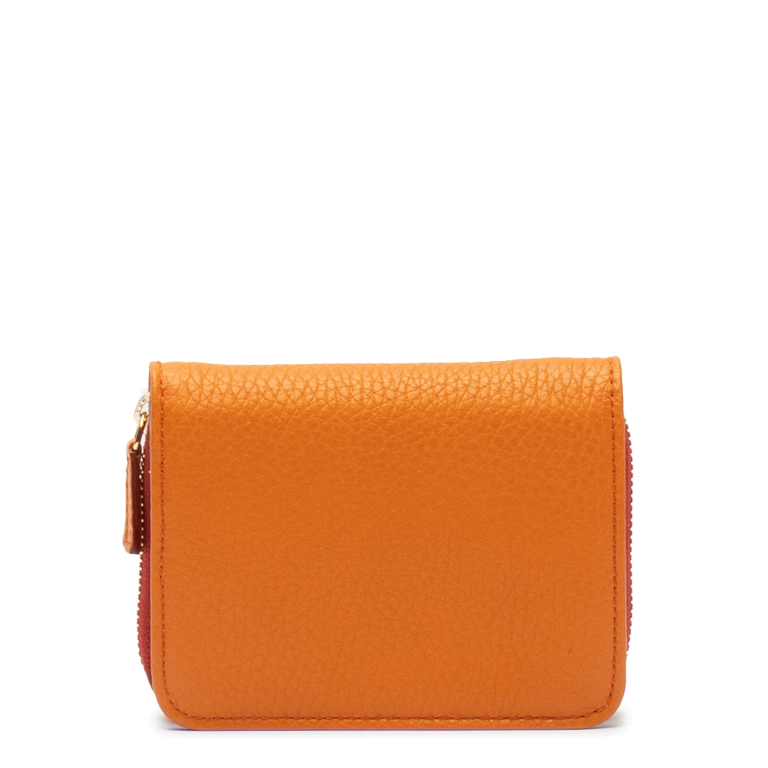 Cellerini_ecommerce_2024_Febbraio_29277